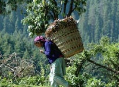 Himalayan Special Luxury Tour