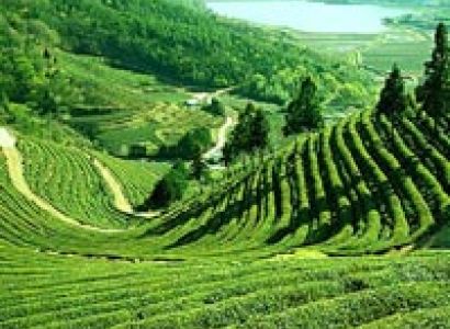 Himalayan Special Luxury Tour