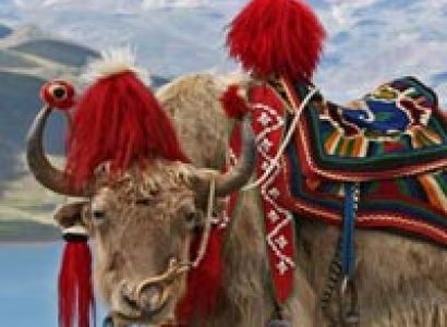 Bhutan Honeymoon Special Tour