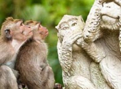 BALI Special Holiday Package