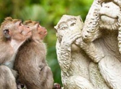 Bali Package 5N/6D Tour