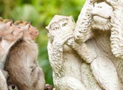 05 Nights Bali Package