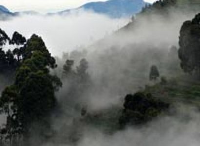 Ooty & Kodaikanal Package