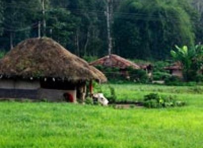 Bangalore, Mysore, Wayanad, Bekal& Mangalore Package