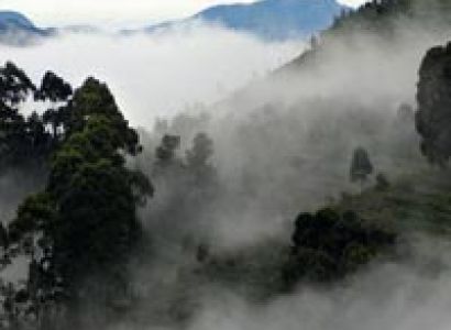 Bangalore, Ooty, Mysore & Kodaikanal Package
