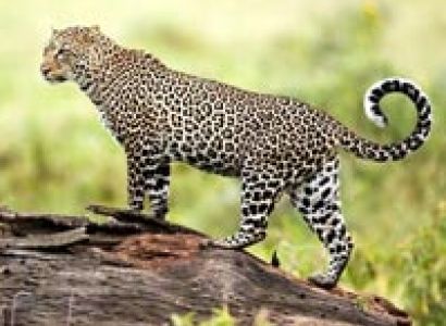 Kathmandu Holiday Package 10N/11D Tour