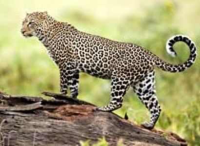 Kathmandu Holiday Package 12N/13D