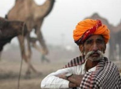 Pushkar Fair Adventure Camp Tour