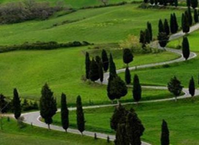 Southern Tea Estate Tour