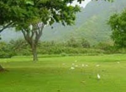 Mysore - Coorg - Ooty Tour