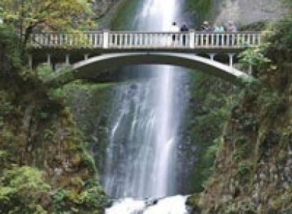 Exotic 5 Night 6 Days Kashmir Tour