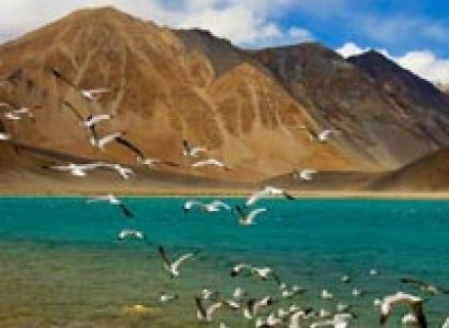 Fly Ladakh Every Day Tour