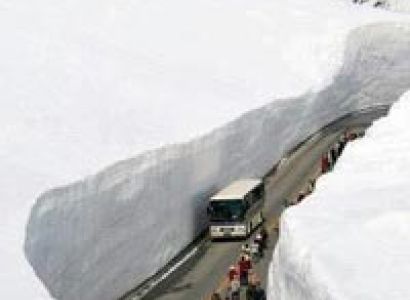 Exotic Shimla & Manali Package