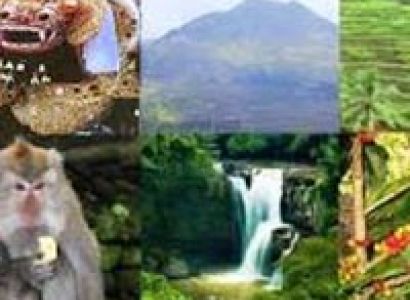 Honeymoon in Bali Tour