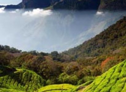 5 Day Kerala Houseboat Tour Alleppey