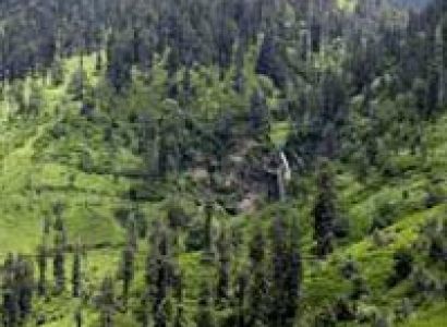 Shimla Manali Honeymoon Tour