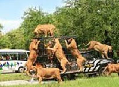 Simply Thailand Tour