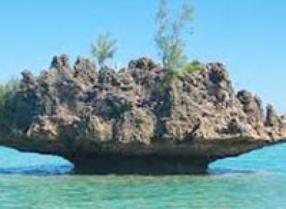 Mesmerizing Mauritius Tour
