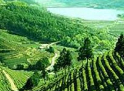 Darjeeling - Kalimpong - Gangtok Tour