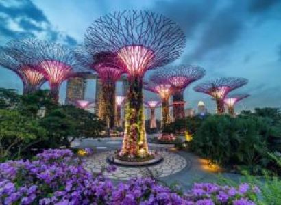 Packages in Little India