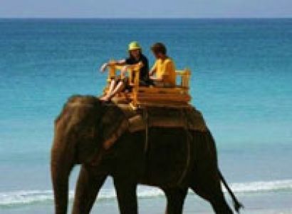 Packages in Havelock