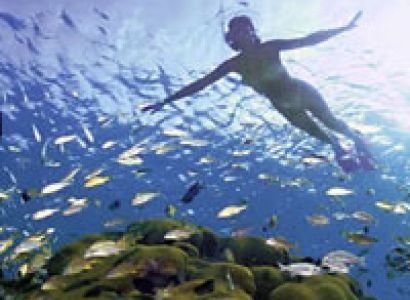 Packages in Havelock