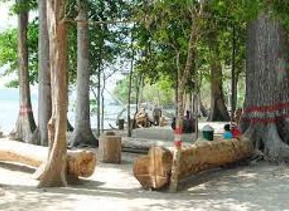 Packages in Havelock