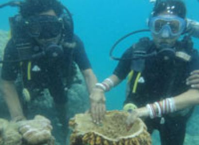 Couple Luxury Package - ( 6N / 7D )