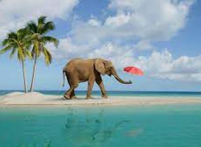 Mini Andaman Tour - Standard Class