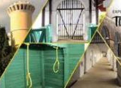 Affordable Andaman Standard Package # 1446