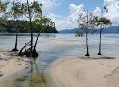 Andaman Delight Standard Package # 1445