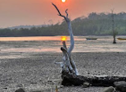 Couple Holiday In Andaman