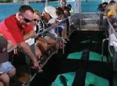 Couple Package (2 N Port Blair + 2 N Havelock + 1 N Port Blair )