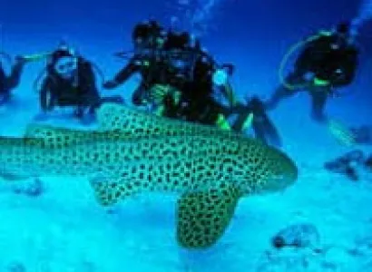 Couple Package (3 N Port Blair + 2 N Havelock With Elephanta Beach)