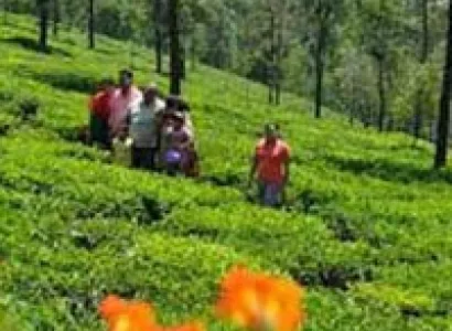 Coimbatore - Ooty Tour 3N/4D