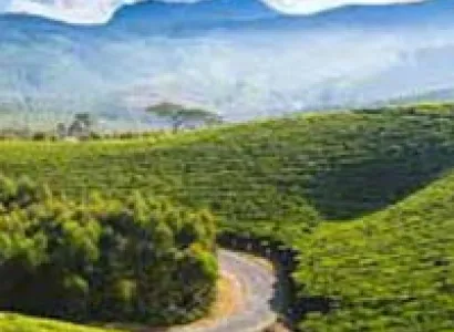 Ooty - Kodaikanal - Munnar Tour