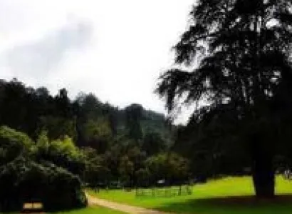 Banglore Mysore Coorg Ooty Kodaikanal Tour Package