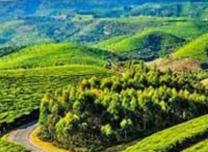 Banglore Mysore Coorg Ooty Kodaikanal Tour Package