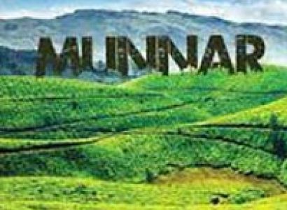 Munnar Honeymoon Tour Package