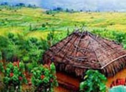 Munnar Honeymoon Tour Package