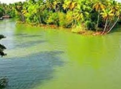 Temples with Beach Tour of Tamilnadu - Kerala Package
