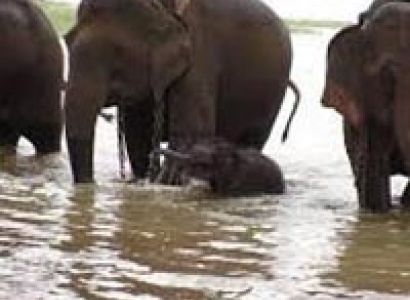 Karnataka Jain Temple Tour Package