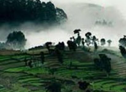 KODAIKANAL HONEYMOON