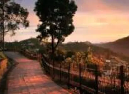 Coimbatore Ooty and Kodaikanal Tour 5n - 6d