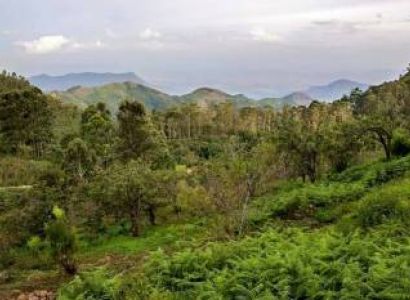 Madurai Kodaikanal Ooty Coimbatore Tour 5n /6d