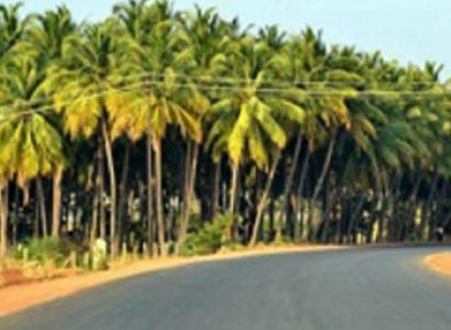 Temples with Beach Tour of Tamilnadu - Kerala Package
