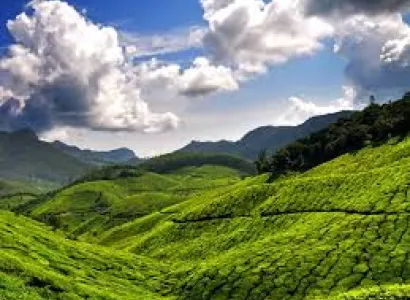 Banglore Mysore Coorg Ooty Kodaikanal Tour Package