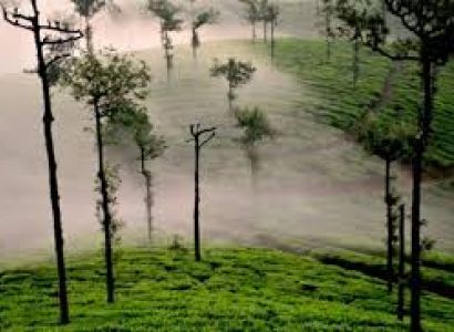 Kodaikanal Honeymoon Tour Package