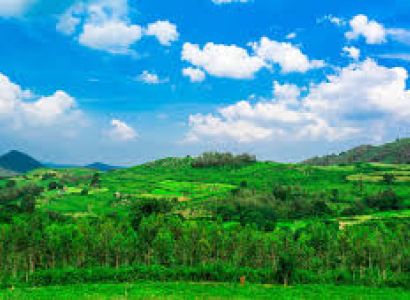 Coimbatore - Ooty Tour 3N/4D