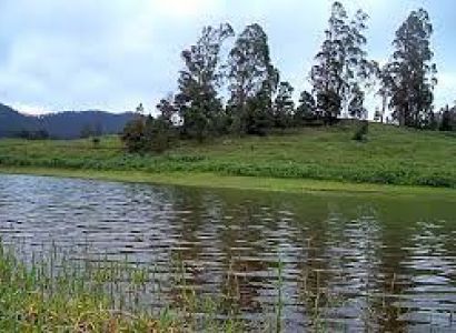 Kodaikanal Honeymoon Packages from Pondicherry